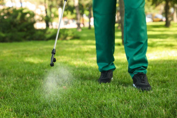 Best Pest Removal Services  in Holloman Af, NM