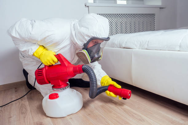 Best Local Pest Control Services  in Holloman Af, NM