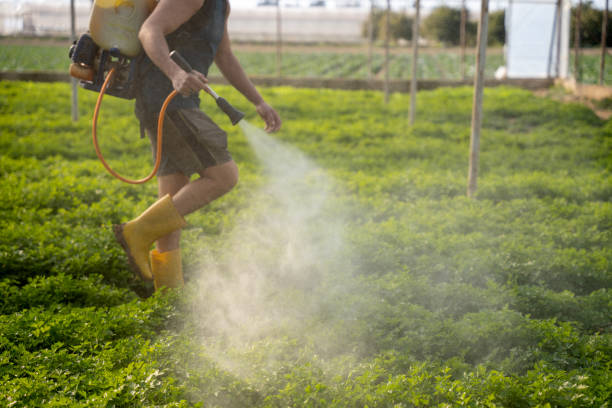 Best Commercial Pest Control Services  in Holloman Af, NM