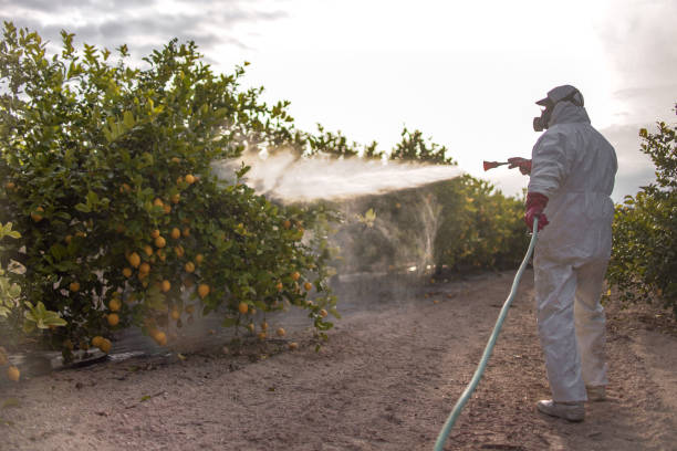 Insect Control in Holloman Af, NM