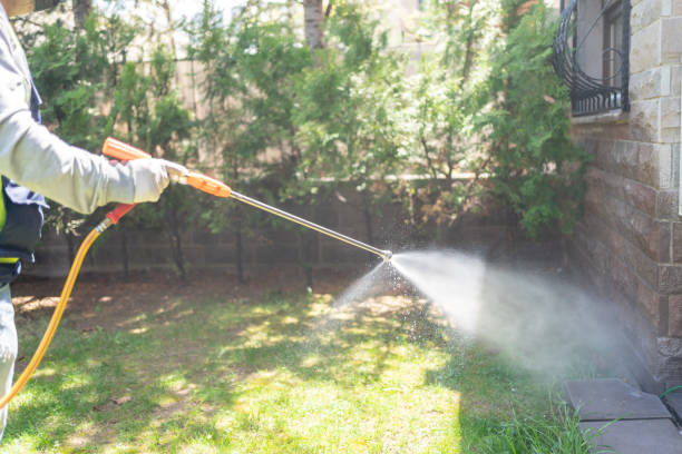 Best Emergency Pest Control  in Holloman Af, NM