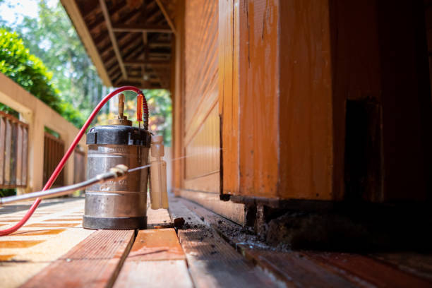 Best Affordable Pest Control Services  in Holloman Af, NM
