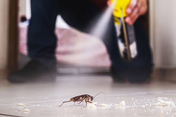 Best Residential Pest Control  in Holloman Af, NM