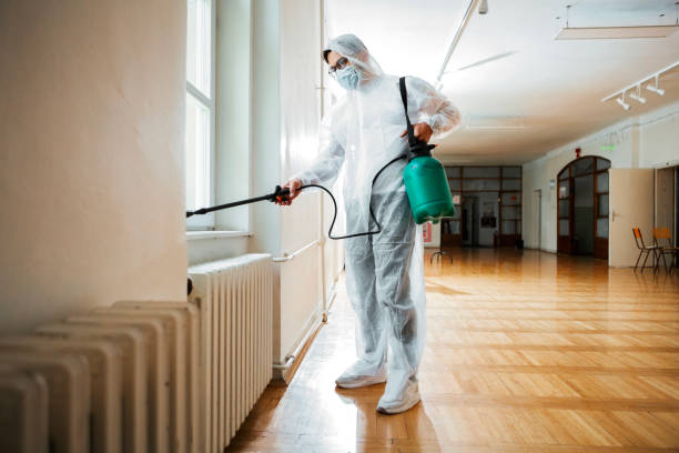 Best Affordable Pest Control Services  in Holloman Af, NM
