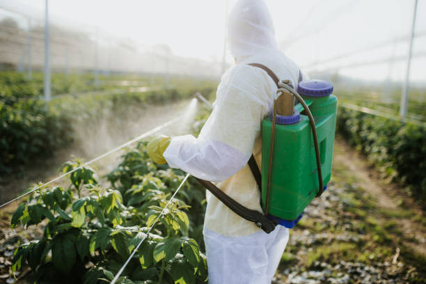  Holloman Af, NM Pest Control Pros